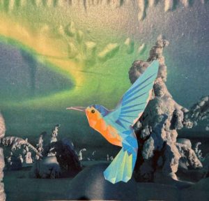 Ein Bild eines Kolibri Vogels auf einer Collage